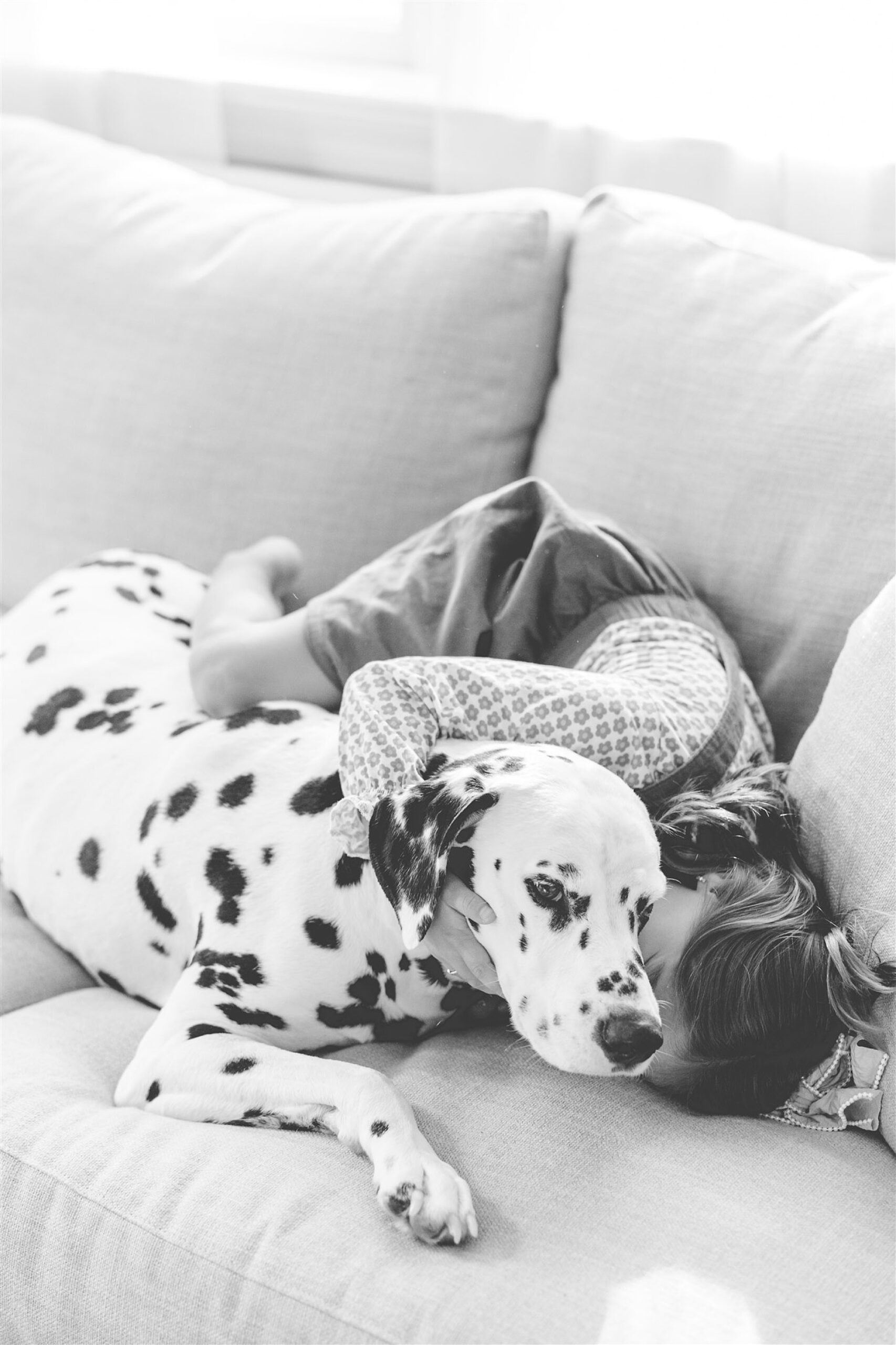 girl snuggles with Dalmatian puppy on couch during Howard County Family Lifestyle Photos