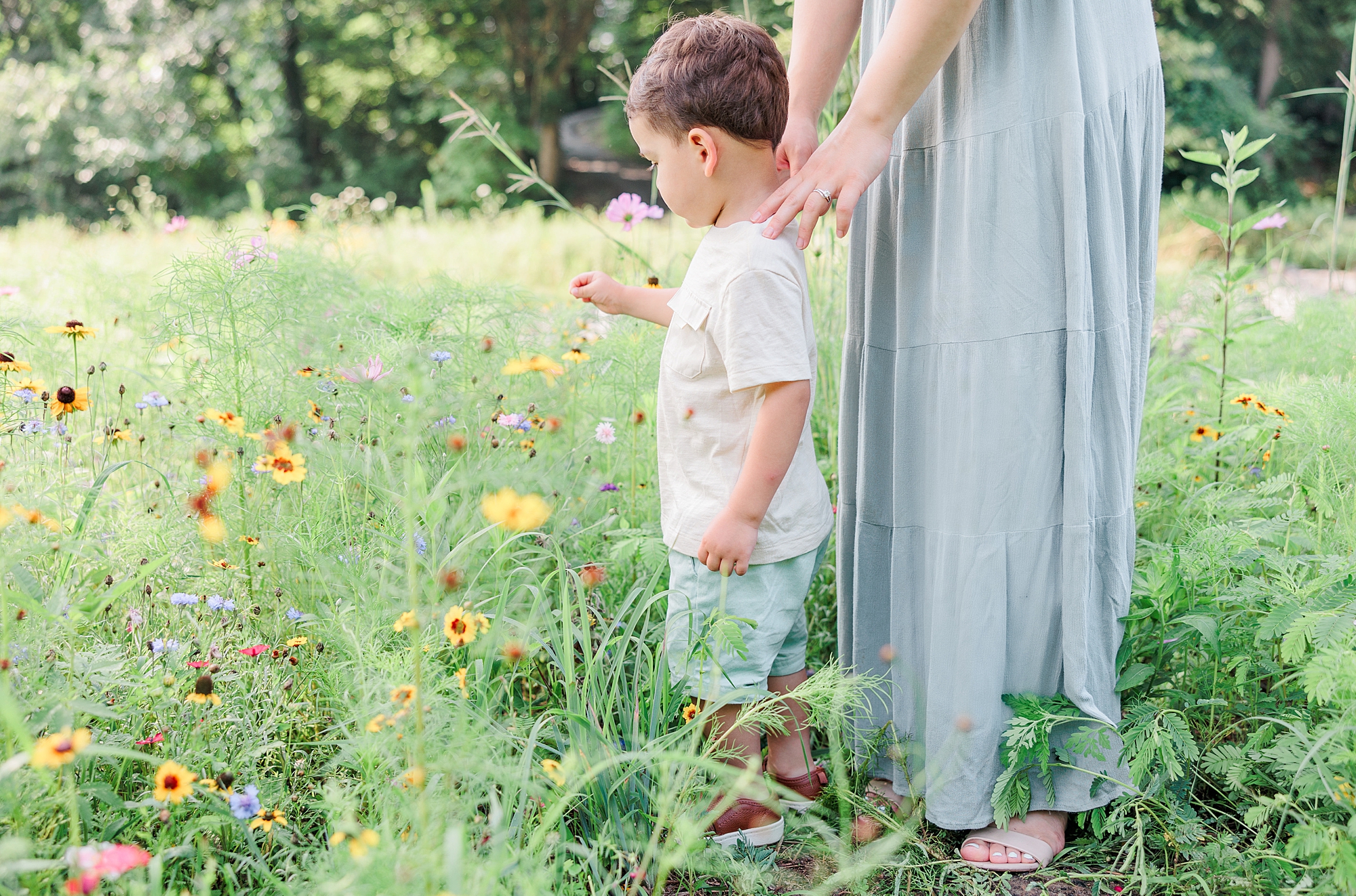 mom stands behind son while he looks at yellow wildflowers