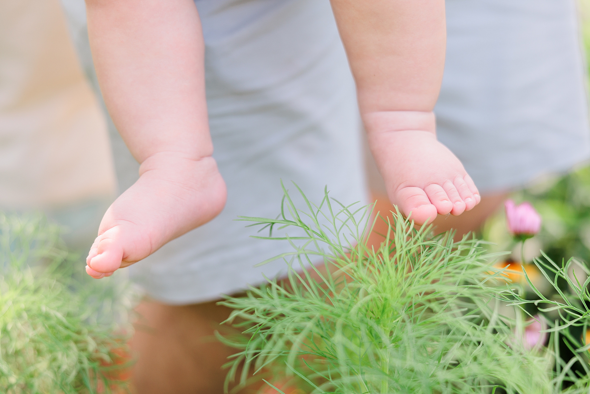 mom holds baby showing off chubby toes above wildflowers 