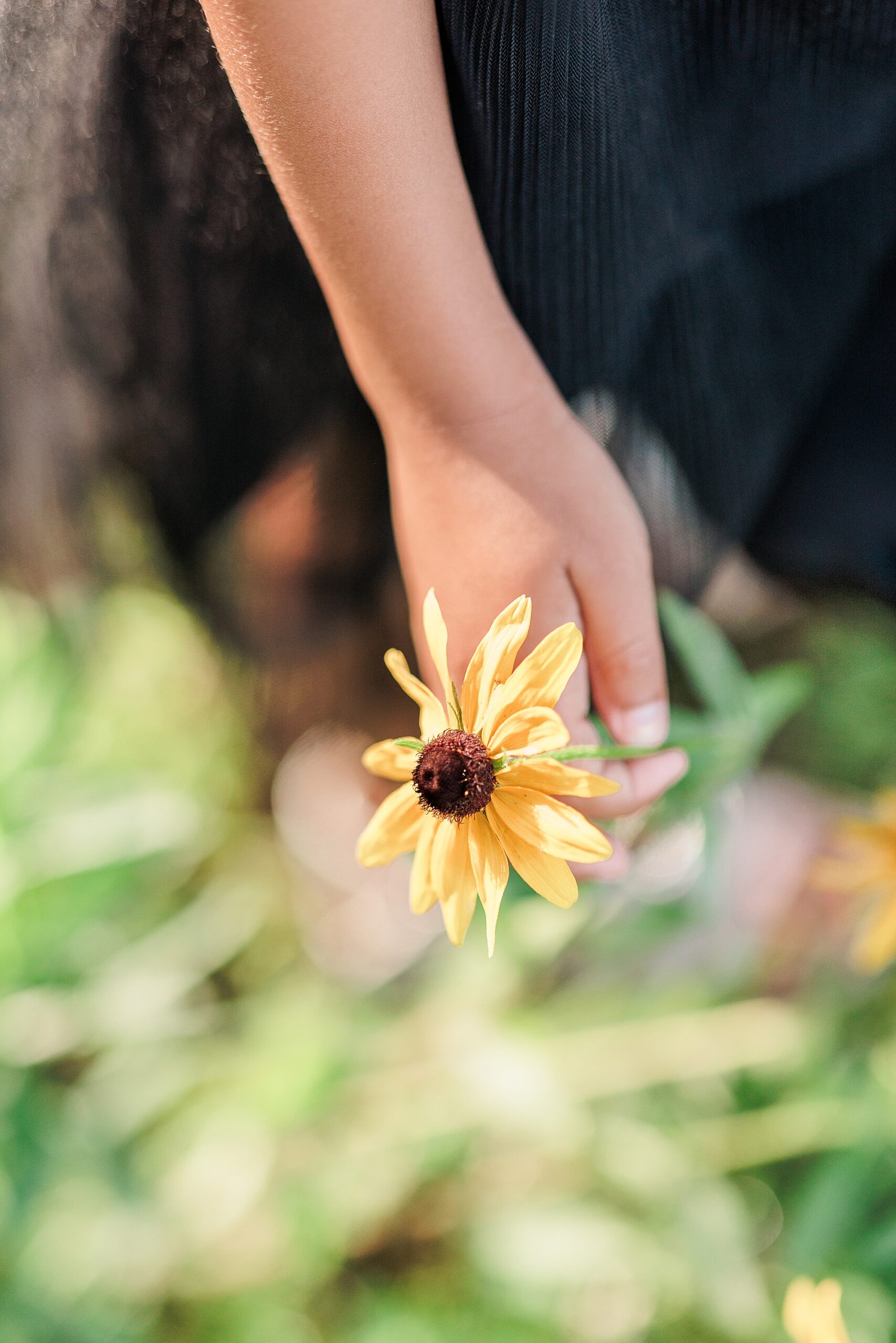 girl holds yellow flower during wildflower minis in Howard County MD