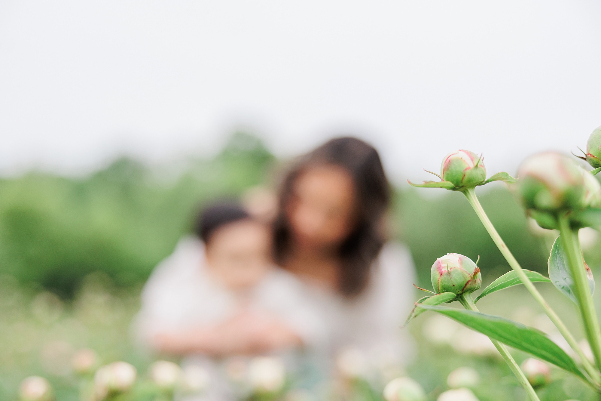 peony bud in foreground of photo with mother and son blurred behind it