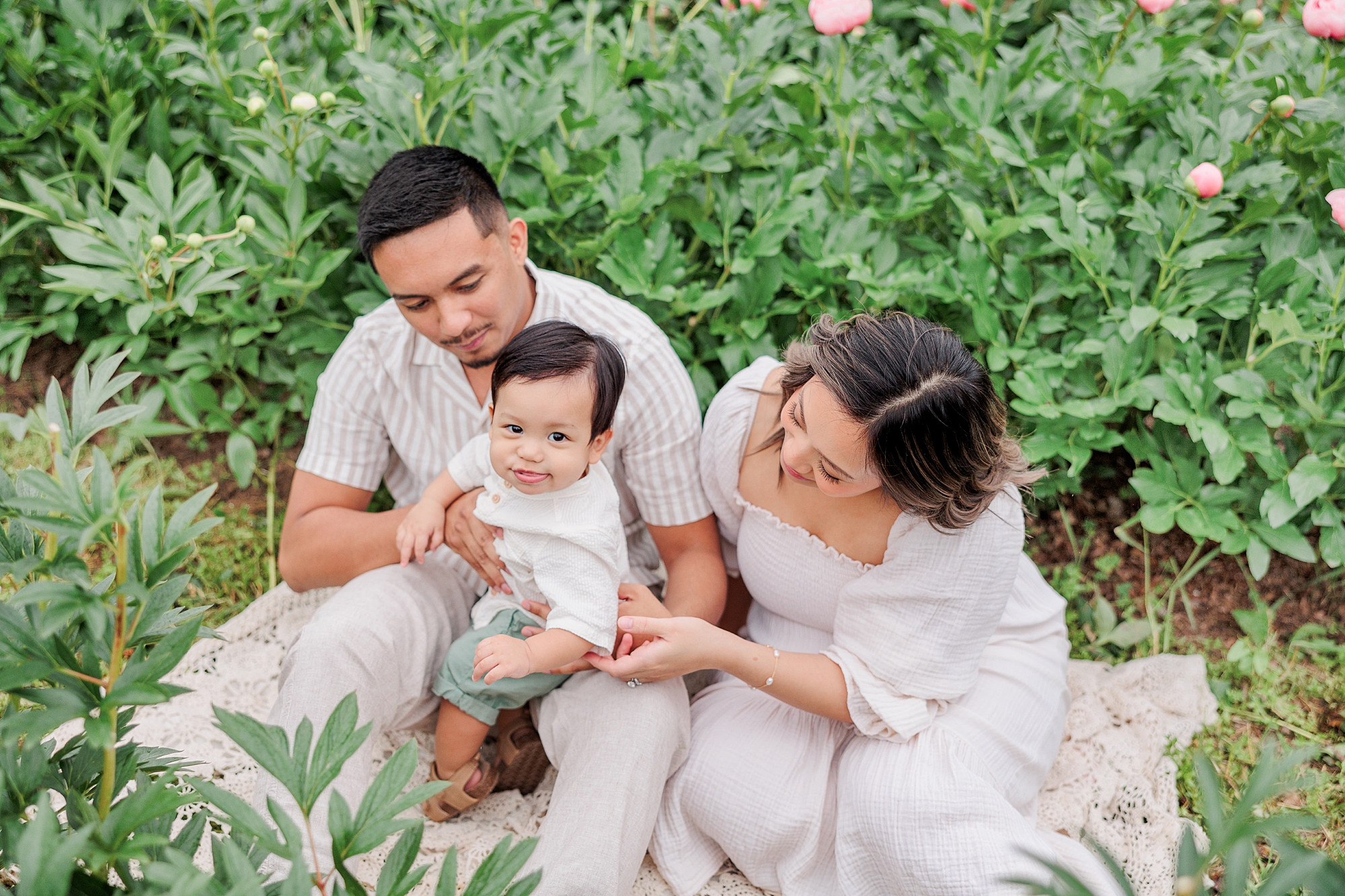 parents snuggle with son between rows of peonies at Castlebridge Farm