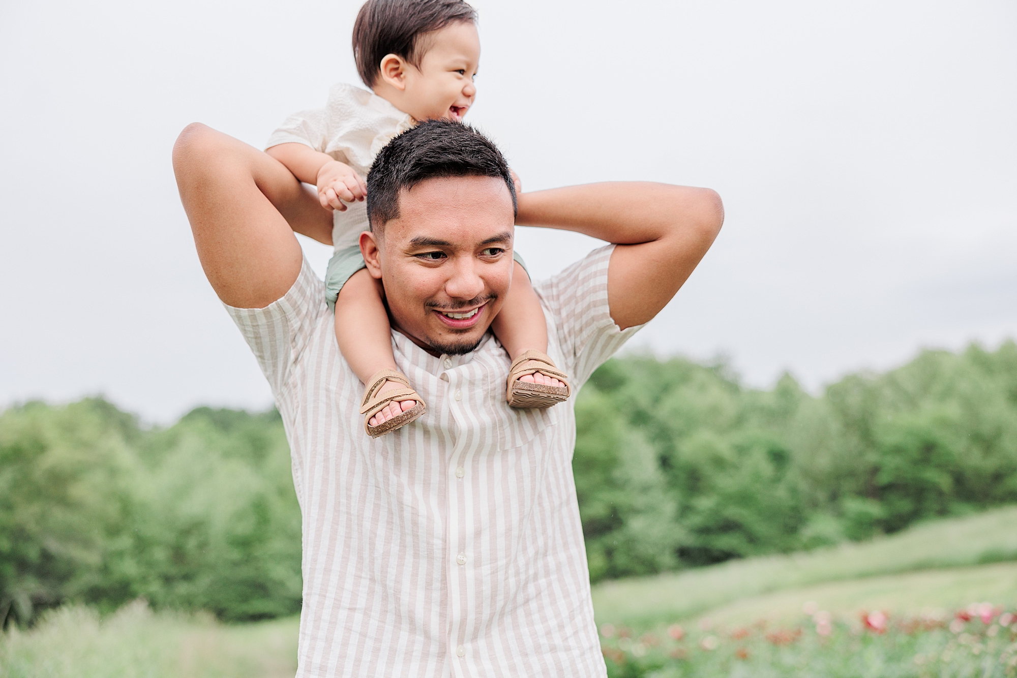 dad gives toddler ride on his shoulders during family photos at Castlebridge Farm