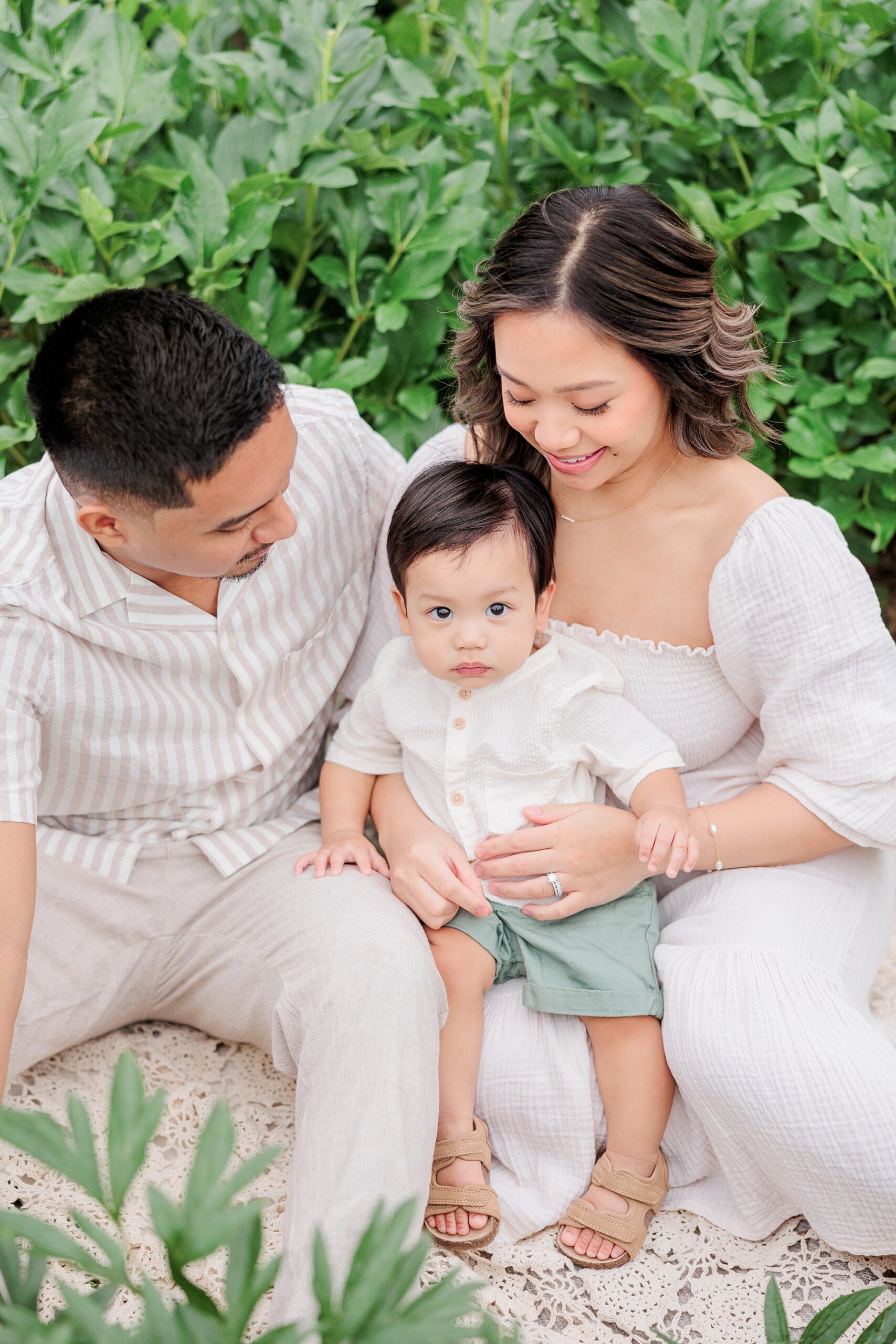 family of three snuggles between rows of peonies at Castlebridge Farm