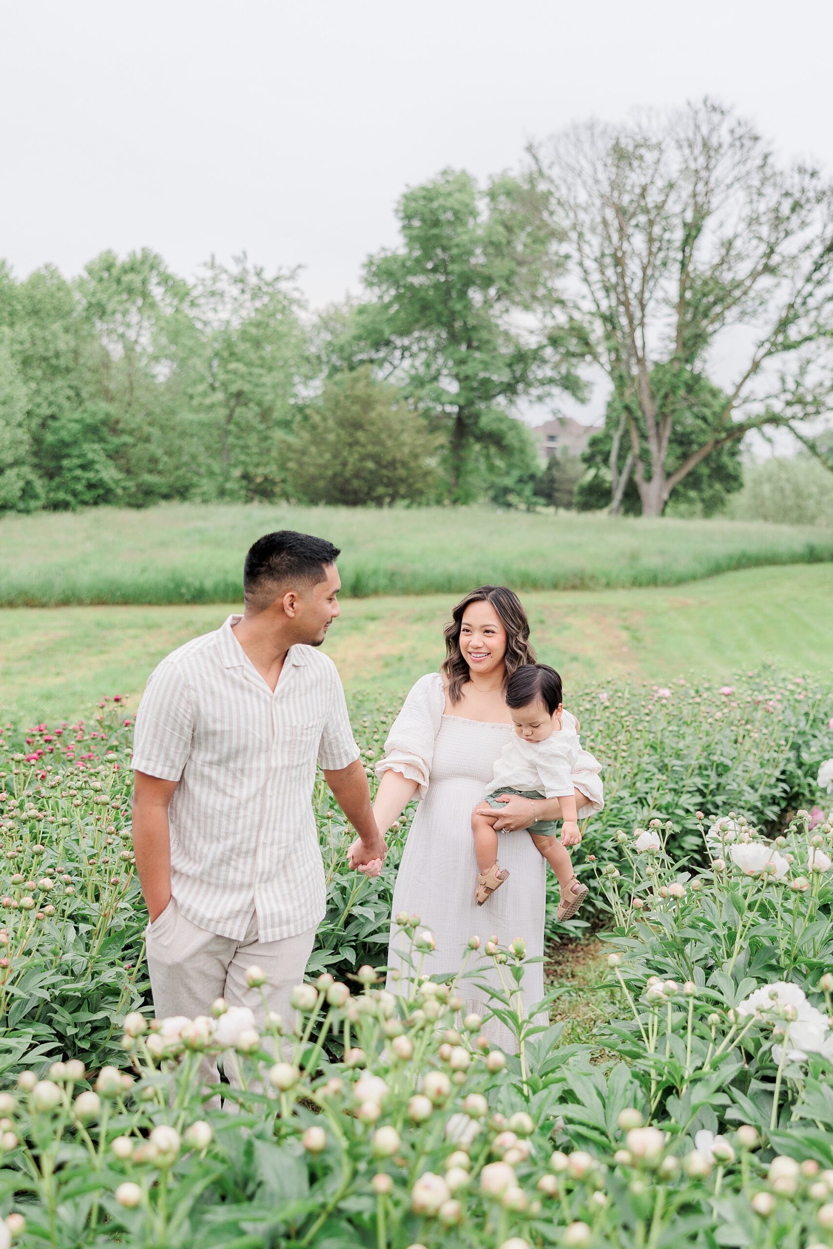 family holds hands walking through peonies while mom carries toddler 