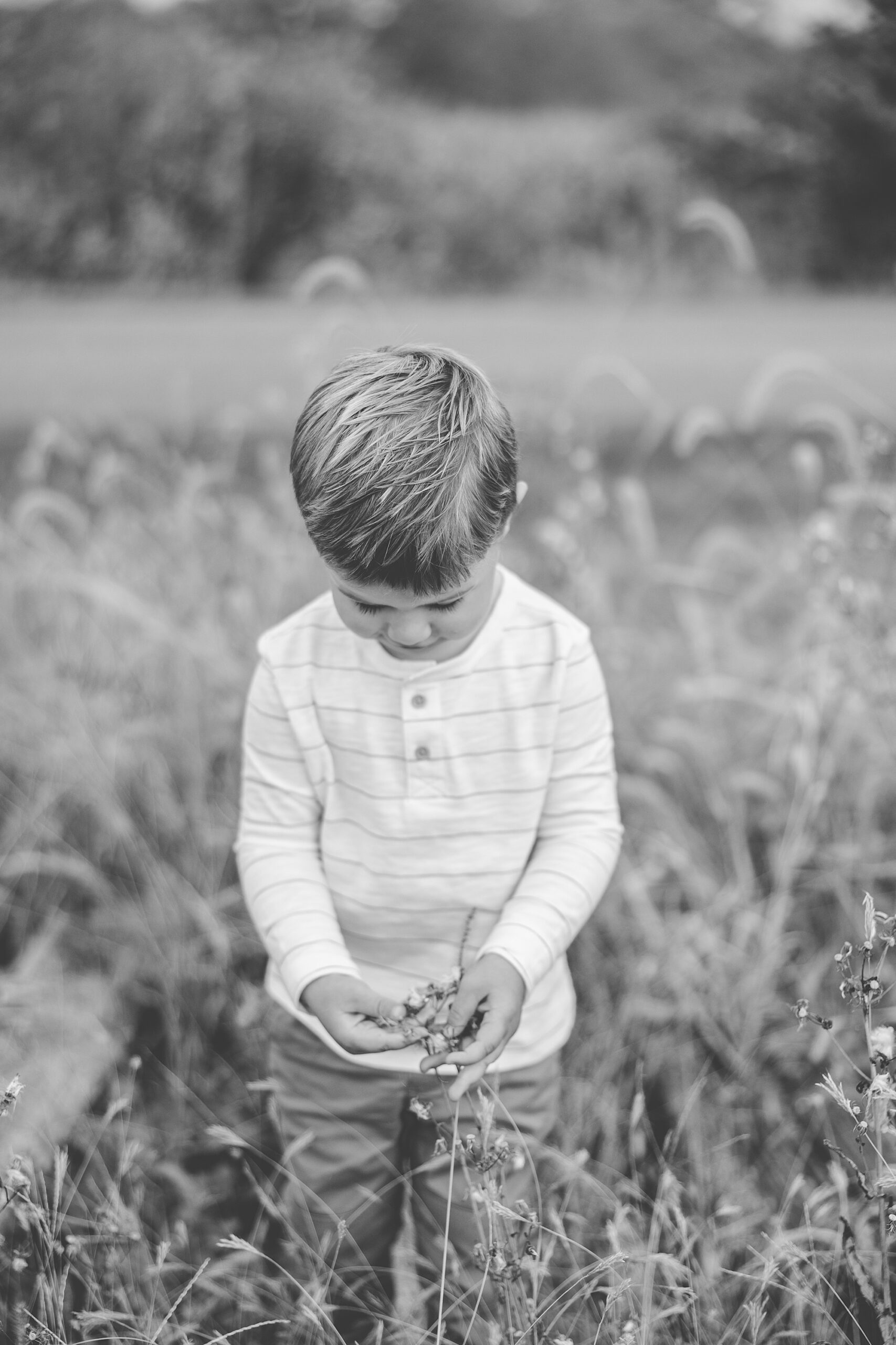 toddler looks down at grass in his hand during family photos