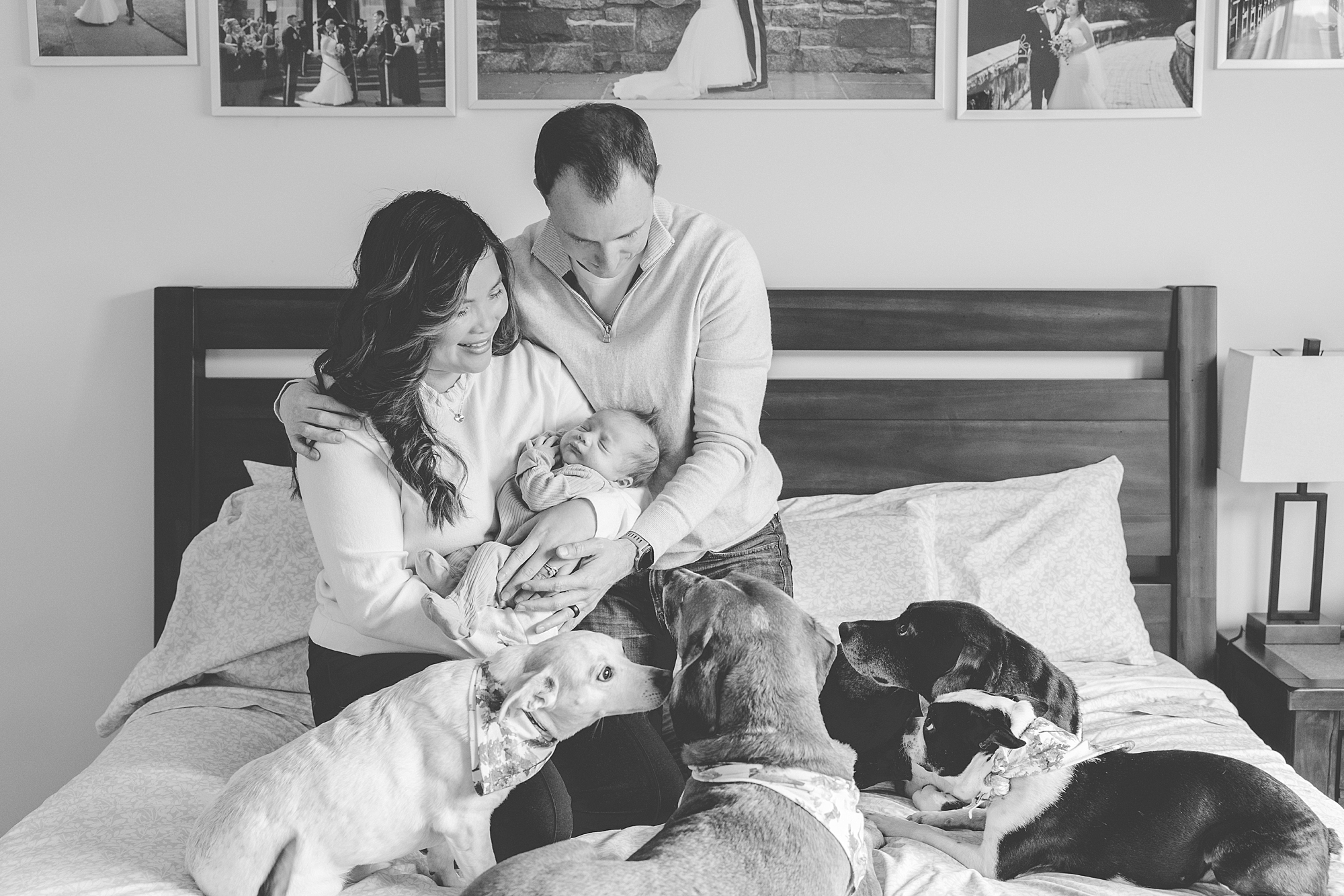 parents sit with dogs and baby during newborn session with Baltimore photographer