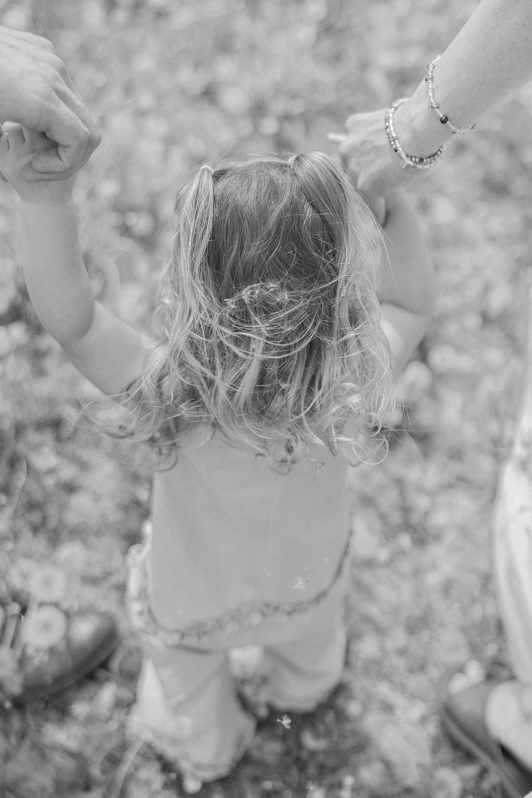toddler holds hands with parents walking through dandelion field
