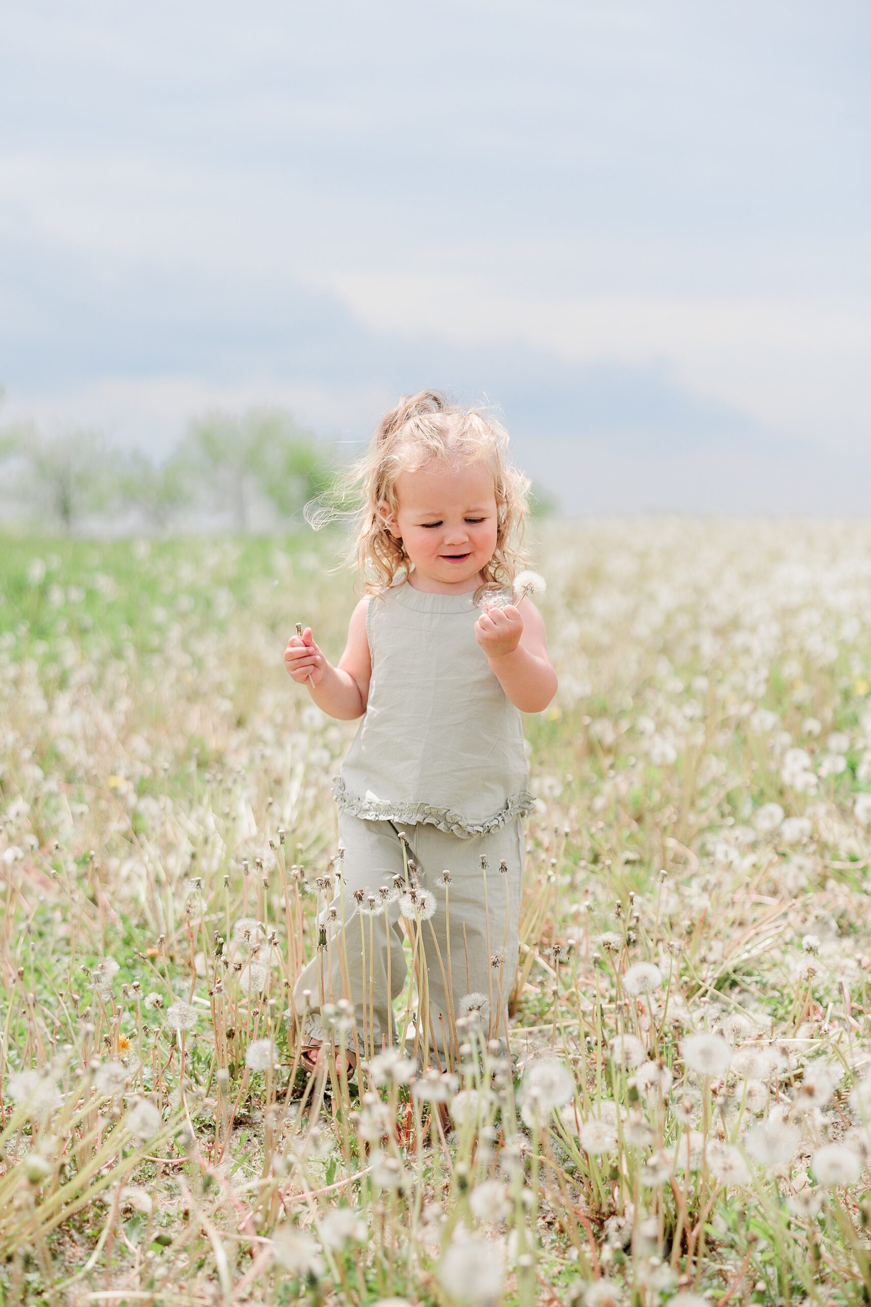 blonde toddler girl walks through dandelion field during family photos