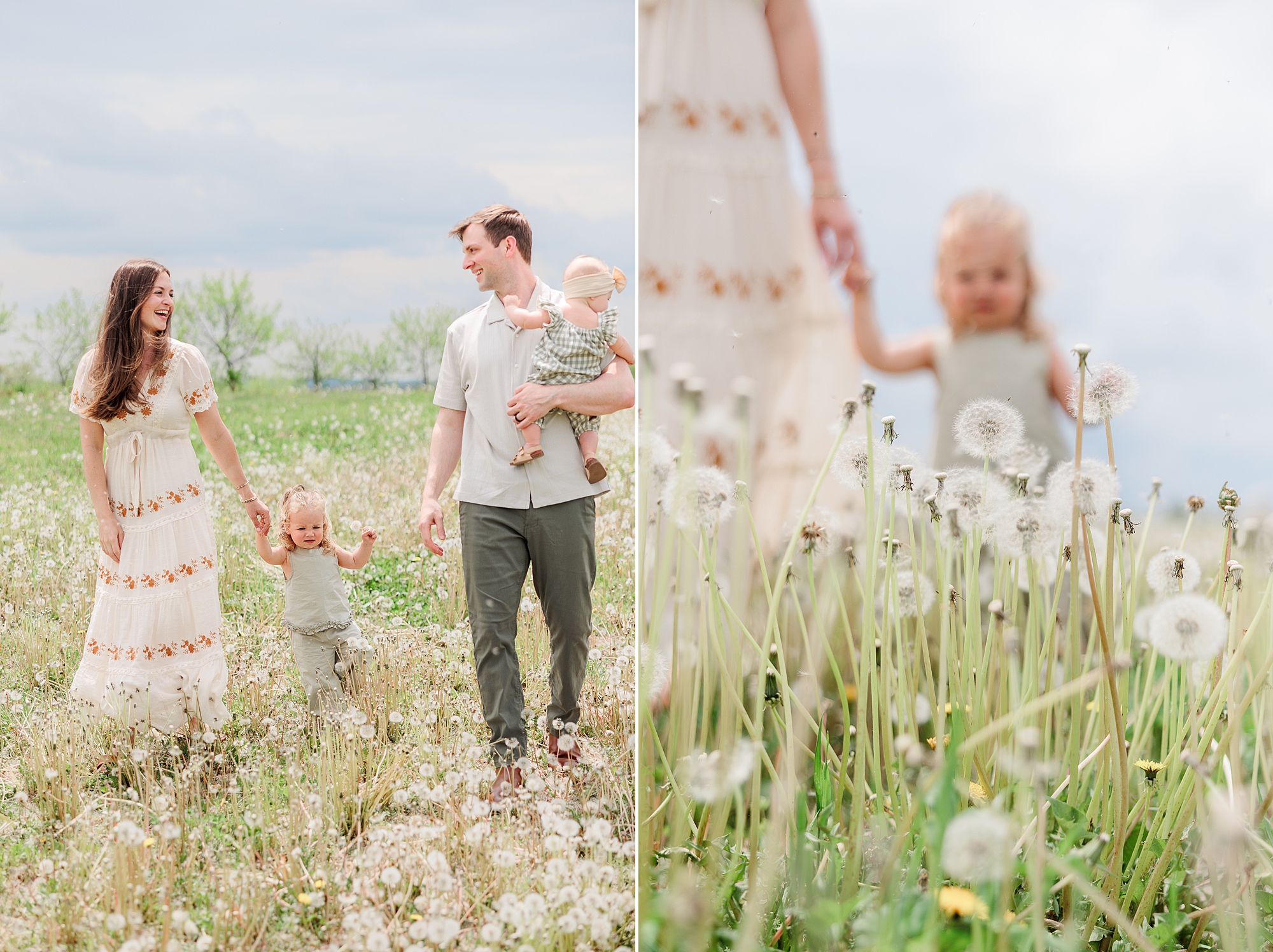 couple holds hands walking with daughters through dandelion fields 