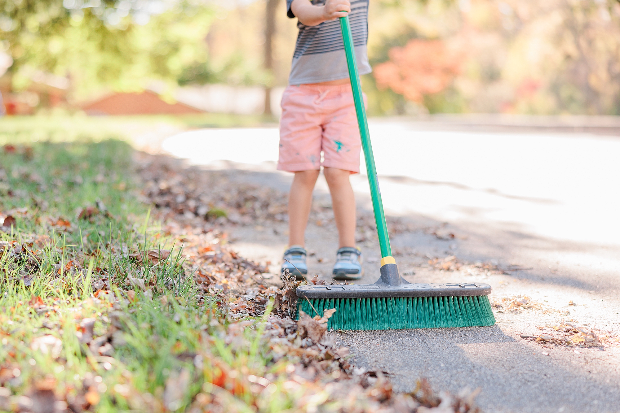 boy brushes leaves on driveway during Maryland documentary family photos