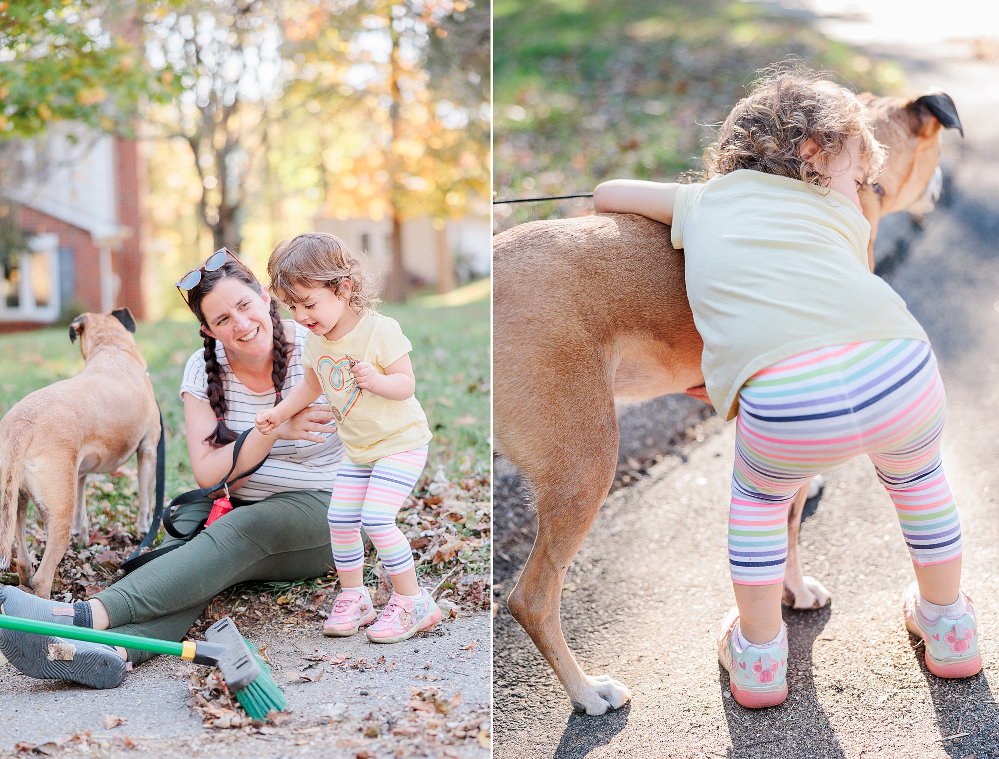girl pets dog in front yard next to mom during Maryland documentary family photos