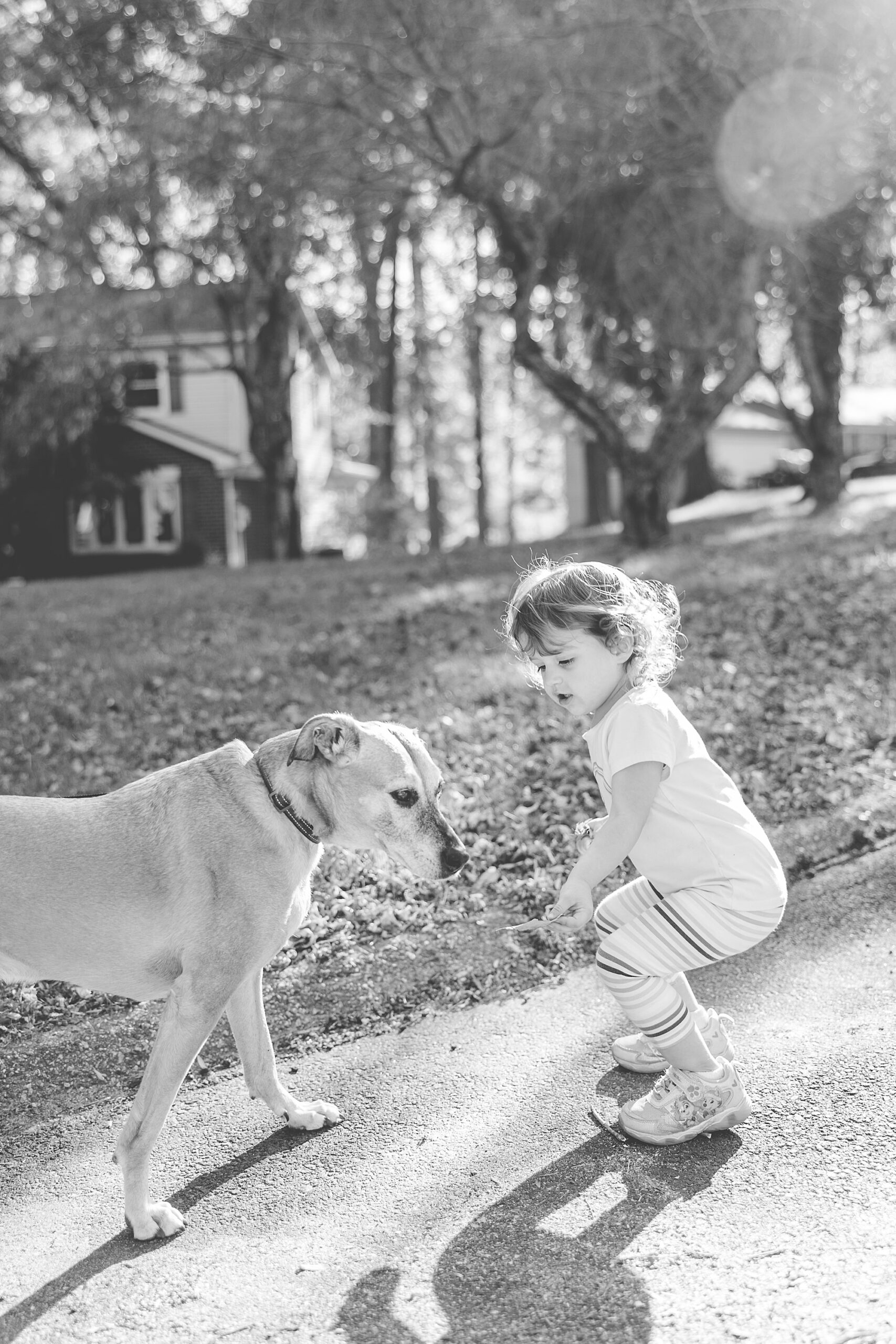 girl kneels with dog outside home during Maryland documentary family photos